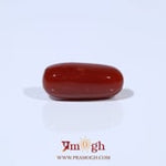 Red Coral - 4.8 Carat