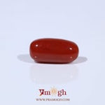 Red Coral - 4.8 Carat