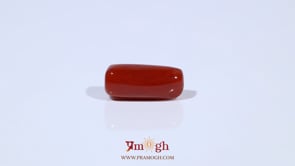 Red Coral - 5.16 Carat