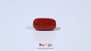 Red Coral - 4.97 Carat