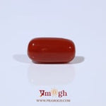 Red Coral - 4.97 Carat