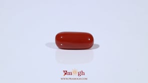 Red Coral - 5.23 Carat