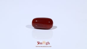 Red Coral - 4.8 Carat
