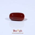 Red Coral - 4.8 Carat