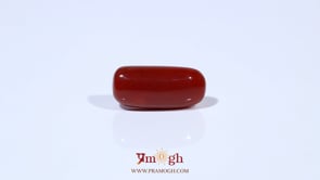Red Coral - 5.91 Carat