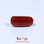 Red Coral - 5.91 Carat