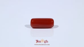 Red Coral - 5.85 Carat