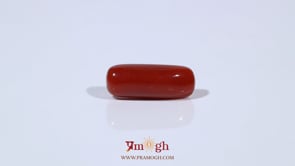 Red Coral - 5.3 Carat