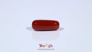 Red Coral - 5.77 Carat