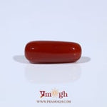 Red Coral - 5.77 Carat