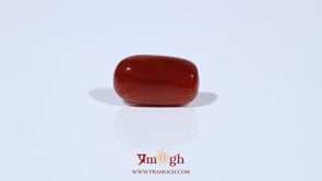 Red Coral - 5.13 Carat
