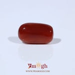 Red Coral - 5.13 Carat