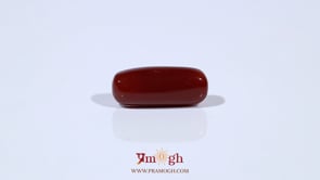 Red Coral - 5.65 Carat