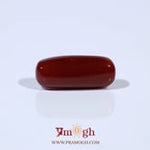 Red Coral - 5.65 Carat