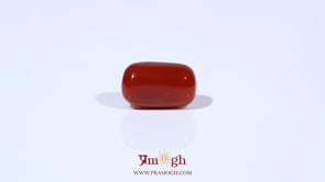 Red Coral - 5.4 Carat