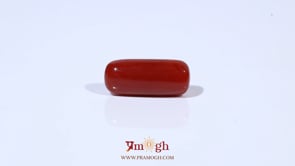 Red Coral - 5.81 Carat