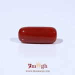 Red Coral - 5.81 Carat