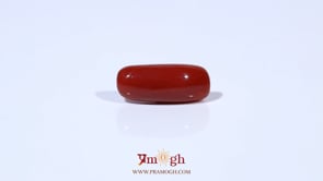 Red Coral - 5.25 Carat