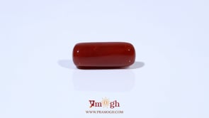 Red Coral - 6 Carat