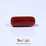 Red Coral - 6 Carat
