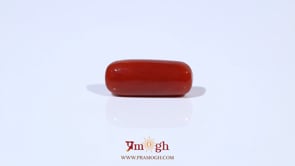 Red Coral - 5.89 Carat