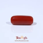 Red Coral - 5.89 Carat