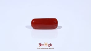 Red Coral - 5.73 Carat