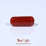 Red Coral - 5.73 Carat