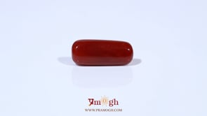 Red Coral - 5.72 Carat