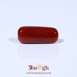 Red Coral - 5.72 Carat
