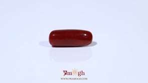 Red Coral - 5.41 Carat