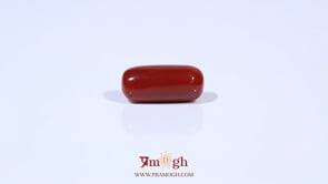 Red Coral - 5.4 Carat