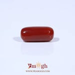 Red Coral - 5.4 Carat