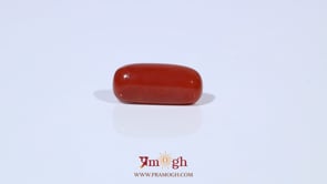 Red Coral - 5.56 Carat