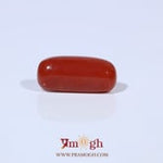 Red Coral - 5.56 Carat