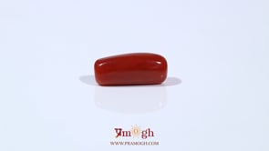 Red Coral - 5.42 Carat