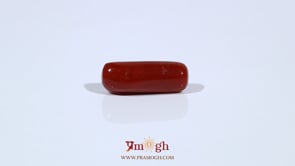 Red Coral - 5.31 Carat
