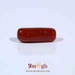 Red Coral - 5.31 Carat