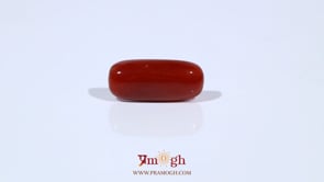 Red Coral - 5.6 Carat