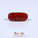 Red Coral - 5.6 Carat