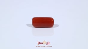 Red Coral - 5.53 Carat