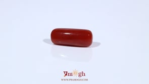 Red Coral - 5.58 Carat