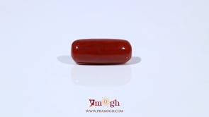 Red Coral - 6.56 Carat
