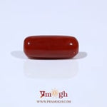 Red Coral - 6.56 Carat