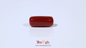 Red Coral - 6.35 Carat