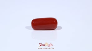 Red Coral - 6.95 Carat