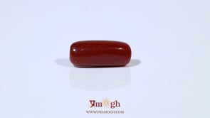 Red Coral - 6.08 Carat