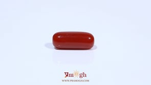 Red Coral - 4.64 Carat