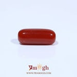 Red Coral - 4.64 Carat