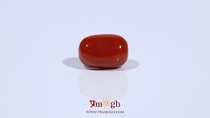 Red Coral - 4.66 Carat